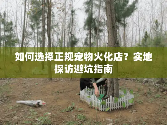 如何选择正规宠物火化店？实地探访避坑指南
