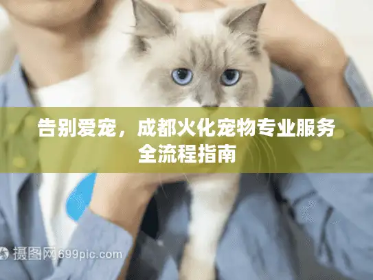告别爱宠，成都火化宠物专业服务全流程指南