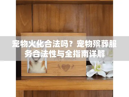 宠物火化合法吗？宠物殡葬服务合法性与全指南详解
