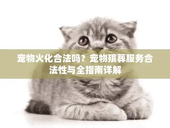宠物火化合法吗？宠物殡葬服务合法性与全指南详解