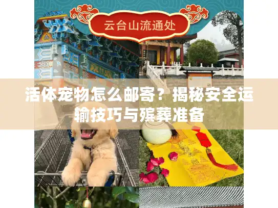 活体宠物怎么邮寄？揭秘安全运输技巧与殡葬准备