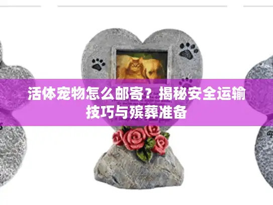 活体宠物怎么邮寄？揭秘安全运输技巧与殡葬准备