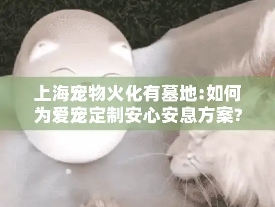 上海宠物火化有墓地:如何为爱宠定制安心安息方案?
