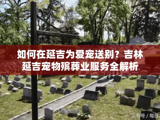 如何在延吉为爱宠送别？吉林延吉宠物殡葬业服务全解析
