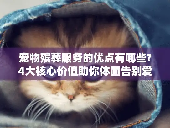 宠物殡葬服务的优点有哪些?4大核心价值助你体面告别爱宠