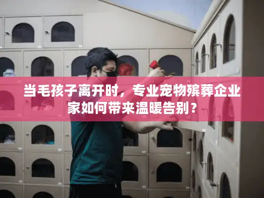 当毛孩子离开时，专业宠物殡葬企业家如何带来温暖告别？