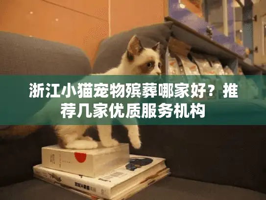 浙江小猫宠物殡葬哪家好？推荐几家优质服务机构