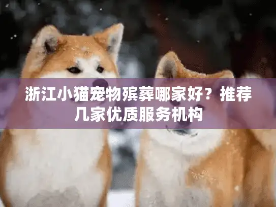 浙江小猫宠物殡葬哪家好？推荐几家优质服务机构