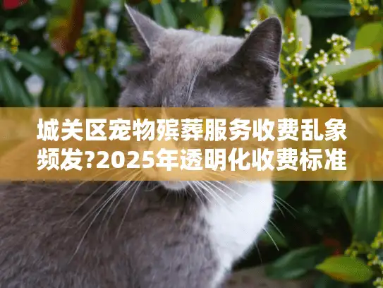 城关区宠物殡葬服务收费乱象频发?2025年透明化收费标准指南