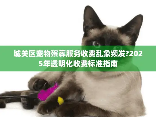 城关区宠物殡葬服务收费乱象频发?2025年透明化收费标准指南