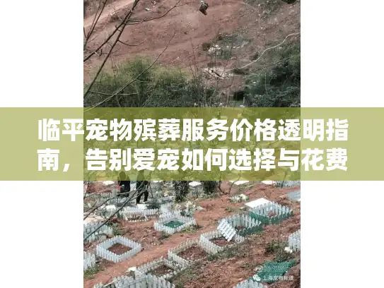 临平宠物殡葬服务价格透明指南，告别爱宠如何选择与花费？