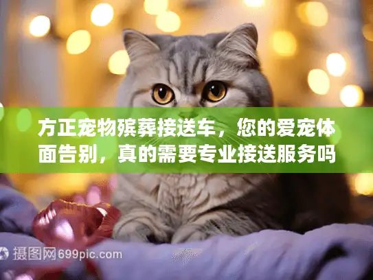 方正宠物殡葬接送车，您的爱宠体面告别，真的需要专业接送服务吗？