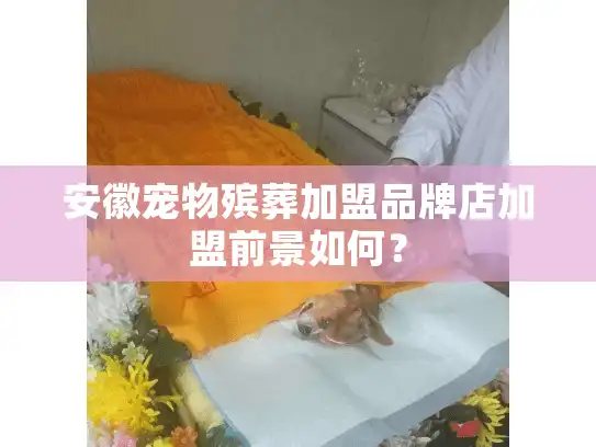 安徽宠物殡葬加盟品牌店加盟前景如何？