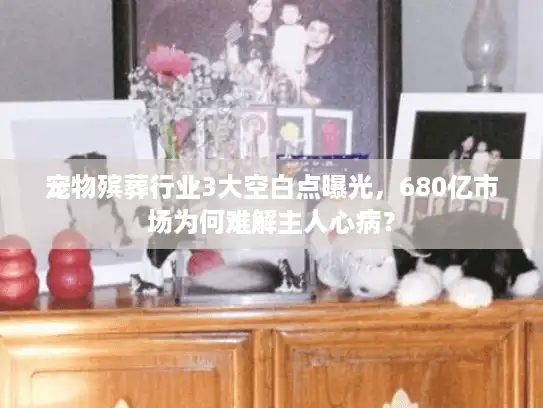 宠物殡葬行业3大空白点曝光，680亿市场为何难解主人心病？