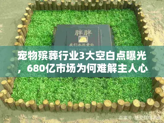 宠物殡葬行业3大空白点曝光，680亿市场为何难解主人心病？