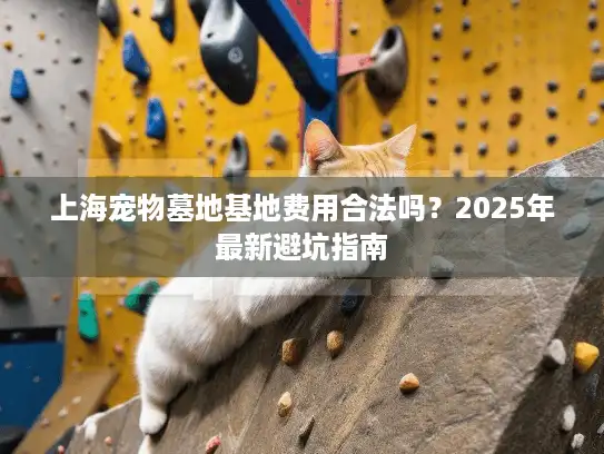 上海宠物墓地基地费用合法吗？2025年最新避坑指南