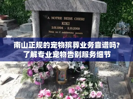 南山正规的宠物殡葬业务靠谱吗?了解专业宠物告别服务细节