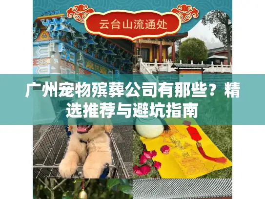 广州宠物殡葬公司有那些？精选推荐与避坑指南