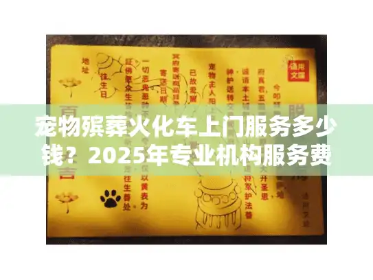 宠物殡葬火化车上门服务多少钱？2025年专业机构服务费用全解析