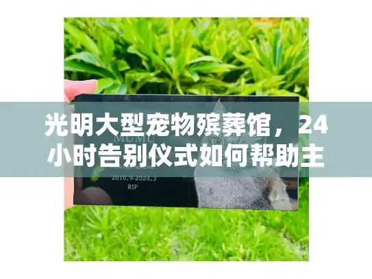 光明大型宠物殡葬馆，24小时告别仪式如何帮助主人走出哀痛？