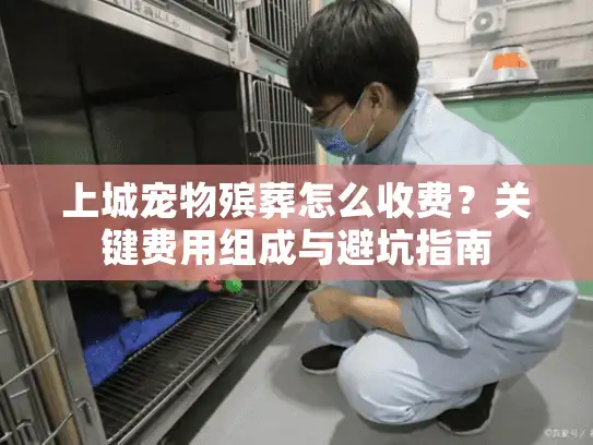 上城宠物殡葬怎么收费？关键费用组成与避坑指南