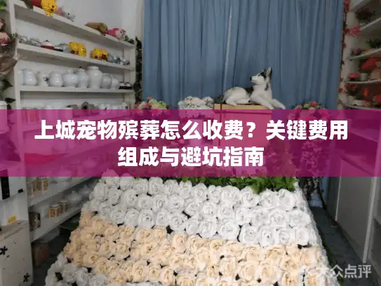 上城宠物殡葬怎么收费？关键费用组成与避坑指南