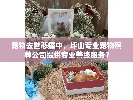 宠物去世悲痛中，坪山专业宠物殡葬公司提供专业善终服务？