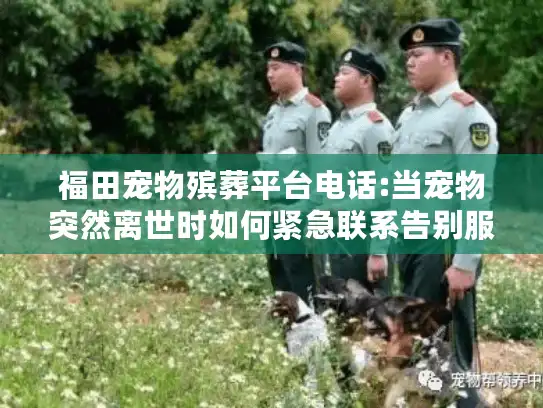 福田宠物殡葬平台电话:当宠物突然离世时如何紧急联系告别服务?