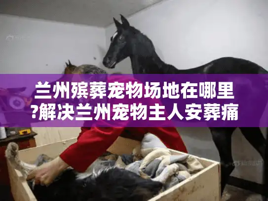 兰州殡葬宠物场地在哪里?解决兰州宠物主人安葬痛点指南