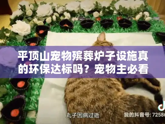 平顶山宠物殡葬炉子设施真的环保达标吗？宠物主必看的安心指南