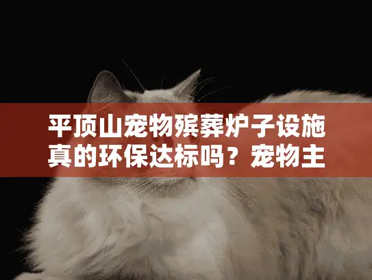 平顶山宠物殡葬炉子设施真的环保达标吗？宠物主必看的安心指南