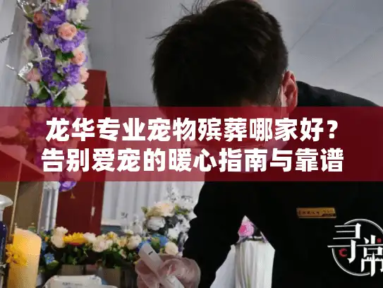 龙华专业宠物殡葬哪家好？告别爱宠的暖心指南与靠谱选择