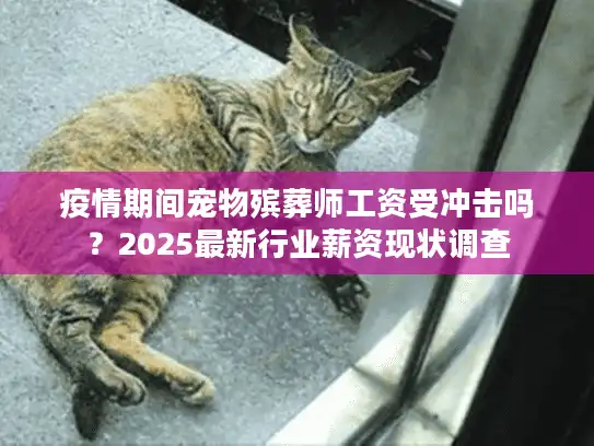 疫情期间宠物殡葬师工资受冲击吗？2025最新行业薪资现状调查