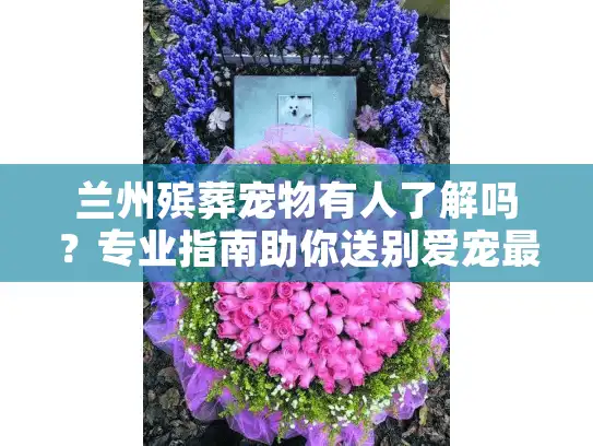 兰州殡葬宠物有人了解吗？专业指南助你送别爱宠最后一程