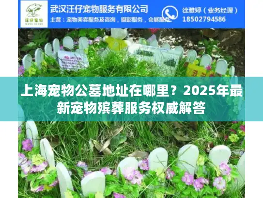 上海宠物公墓地址在哪里？2025年最新宠物殡葬服务权威解答