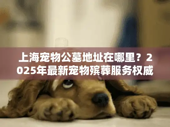 上海宠物公墓地址在哪里？2025年最新宠物殡葬服务权威解答