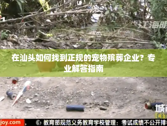 在汕头如何找到正规的宠物殡葬企业？专业解答指南