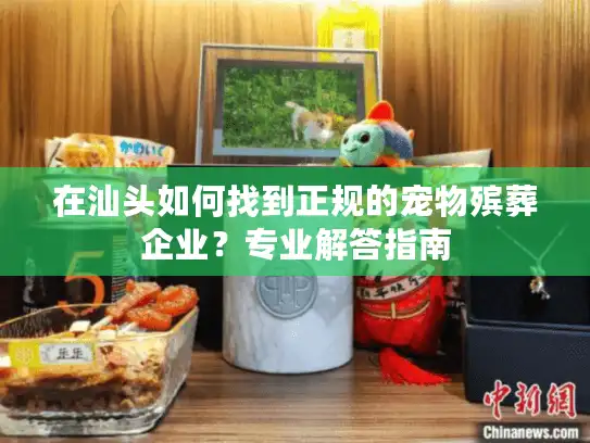 在汕头如何找到正规的宠物殡葬企业？专业解答指南