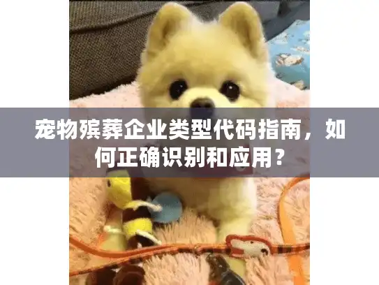 宠物殡葬企业类型代码指南，如何正确识别和应用？