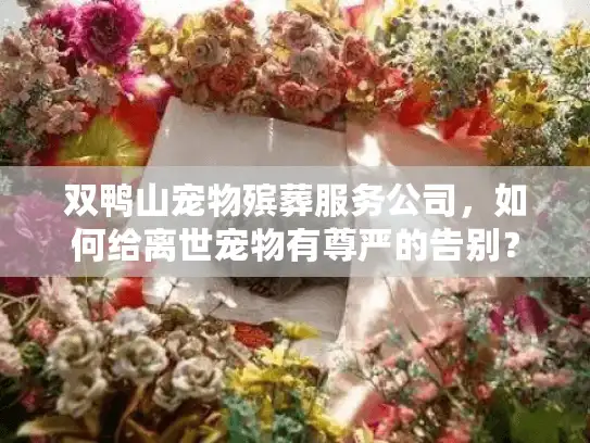 双鸭山宠物殡葬服务公司，如何给离世宠物有尊严的告别？