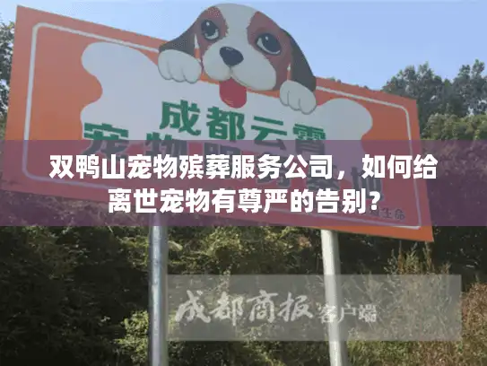 双鸭山宠物殡葬服务公司，如何给离世宠物有尊严的告别？