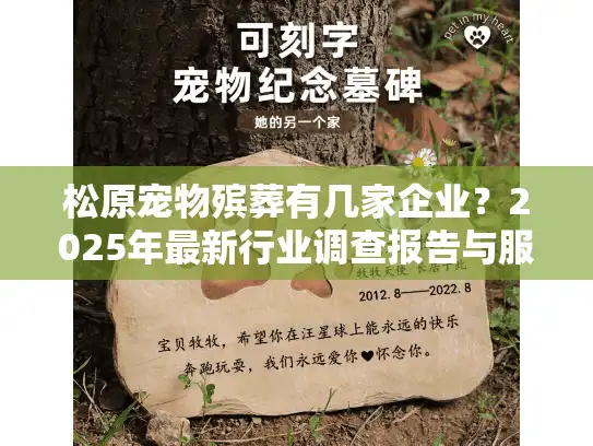 松原宠物殡葬有几家企业？2025年最新行业调查报告与服务选择指南