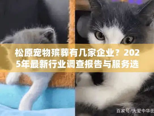 松原宠物殡葬有几家企业？2025年最新行业调查报告与服务选择指南