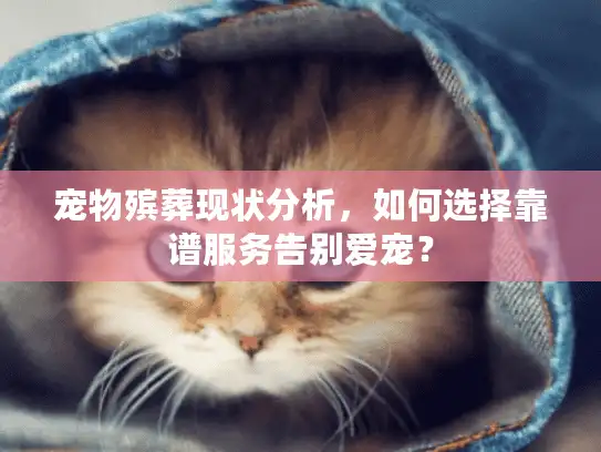 宠物殡葬现状分析，如何选择靠谱服务告别爱宠？