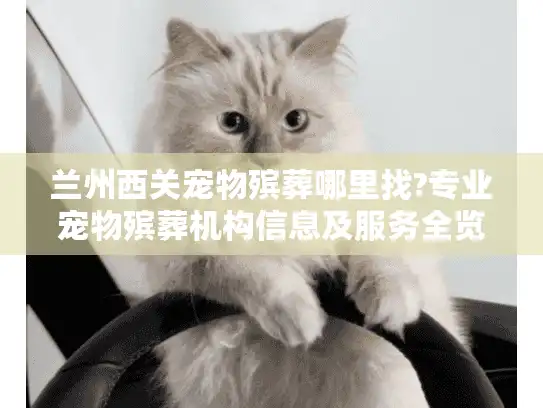 兰州西关宠物殡葬哪里找?专业宠物殡葬机构信息及服务全览
