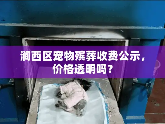 涧西区宠物殡葬收费公示，价格透明吗？