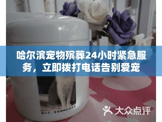 哈尔滨宠物殡葬24小时紧急服务，立即拨打电话告别爱宠