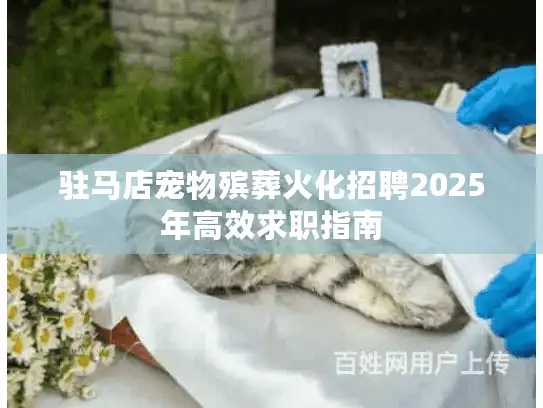 驻马店宠物殡葬火化招聘2025年高效求职指南