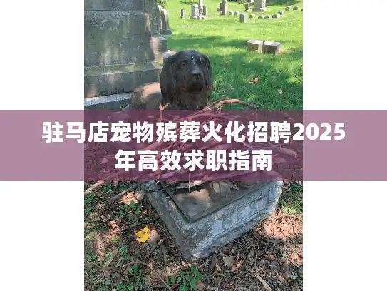 驻马店宠物殡葬火化招聘2025年高效求职指南