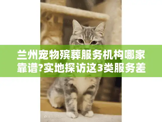 兰州宠物殡葬服务机构哪家靠谱?实地探访这3类服务差异